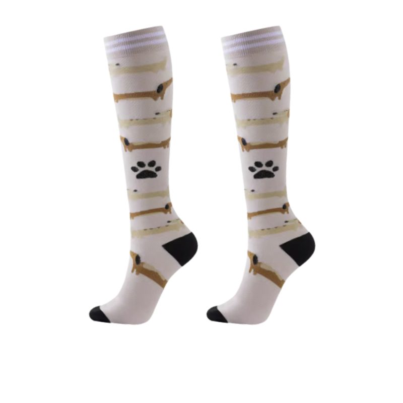 Long Compression Socks – Pawfect Pairs (5 Pack)